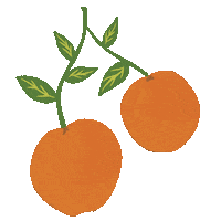 Summer Flowers Sticker by Millie Amber