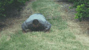 GIF by Universal Music Africa