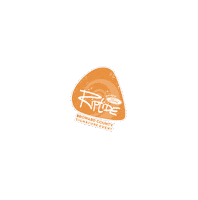 Music Festival Florida Sticker by Visit Lauderdale