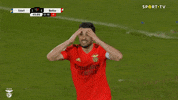 Sl Benfica Slbgif GIF by Sport Lisboa e Benfica