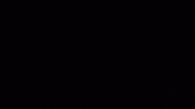 GIF by Ilka & Franz