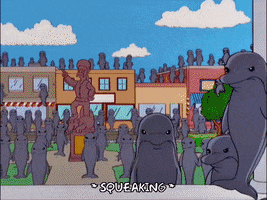 episode 1 dolphins GIF