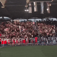 Austria Viola GIF