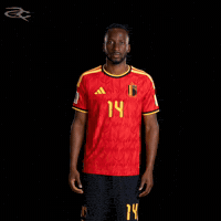 Fifa World Cup Uefa GIF by Respective