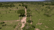 dispatches GIF by Black Market