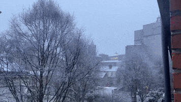 Spring Snow Hits Dublin as Weather Warnings in Place in Ireland and UK