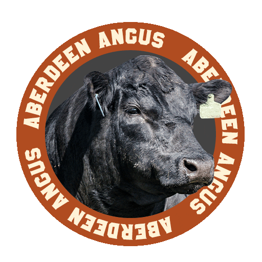 AssociacaoBrasileiradeAngus giphyupload boi carne angus Sticker