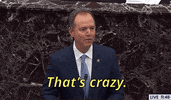 Adam Schiff Impeachment GIF by GIPHY News