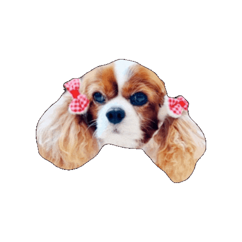 キャバスタ19 Sticker