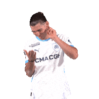 Ligue 1 Football Sticker by Olympique de Marseille