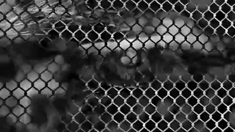 sub pop eye GIF by Clipping.