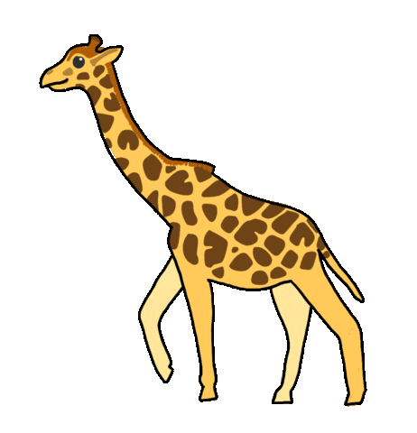 Africa Giraffe Sticker by JC Stewart