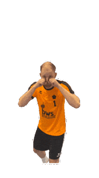 Hbfr Sticker by Handballfreunde Pankow 01