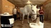 chelsea peretti lol GIF