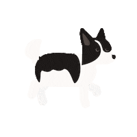 Dog 강아지 Sticker by MBC PLUS