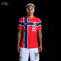 Fifa World Cup Uefa GIF by Respective