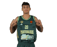 Pao Pana Sticker by Panathinaikos BC