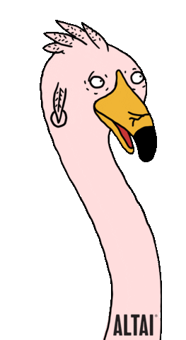 eyes flamingo Sticker by Altai Company