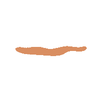 apolondon orange worm line brown Sticker