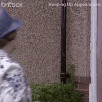 GIF by britbox
