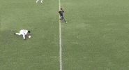 GIF by Seattle Sounders