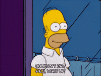 homer simpson episode 3 GIF