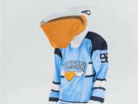 PelicansFi sports no hockey mascot GIF