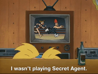hey arnold nicksplat GIF