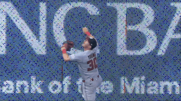 Washington Nationals Baseball GIF by MLB