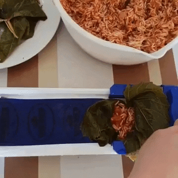 Fannab giphygifmaker GIF