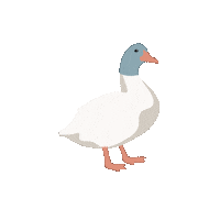 Spring Duck Sticker by Kyte Baby