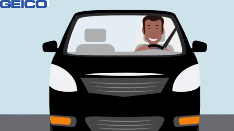 Car What GIF by GEICO