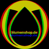 Blumenshopde flower crazy flowers vision GIF