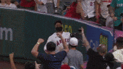 Los Angeles Angels Wow GIF by MLB