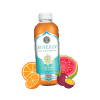 gtslivingfoods orange guava synergy passionfruit Sticker