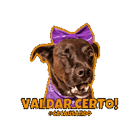 Cacausando cachorro cacausando cacauecookie vaidarcerto Sticker
