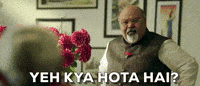 bollywood kick GIF