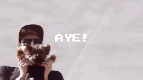 excited dog GIF by SoulPancake