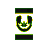 Mary Jane Gold Sticker by Nova Sound