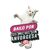 sofiabolivia gato bolivia sofia hamburguesa Sticker