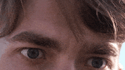 What On Earth Horror GIF by FN Films