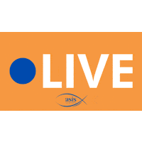 Orange Fish Sticker by Oasis Radio