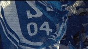 Football Soccer GIF by FC Schalke 04