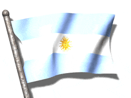 argentina flag GIF