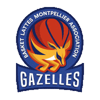 France Basketball Sticker by FIBA