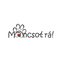 mancsotra mancsot rá Sticker