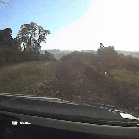 Paraguay GIF by FIA World Rally Championship