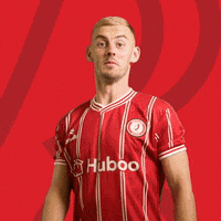Republic Of Ireland Football GIF by Bristol City FC