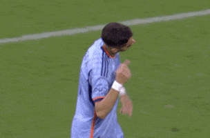 Celebrate New York City GIF by Major League Soccer