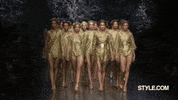 dolce and gabbana gold GIF